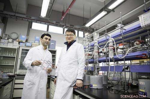 Nitrogenated 2‑D Crystals: A Promising Graphene Alternative