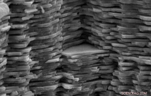 Unified Design Map: Merging Strength, Stiffness, and Toughness in Composite Materials