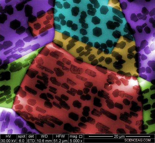 Crystal Symmetry Drives Graphene Growth on Copper Substrates