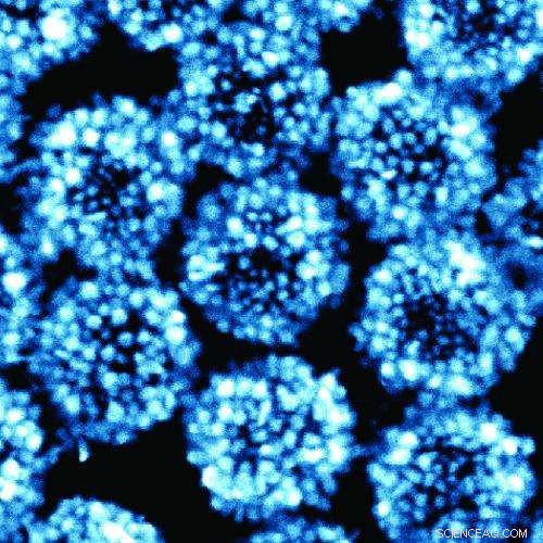 Scientists Pioneer Light‑Bending Raspberry‑Shaped Metamolecules for Advanced Metamaterials