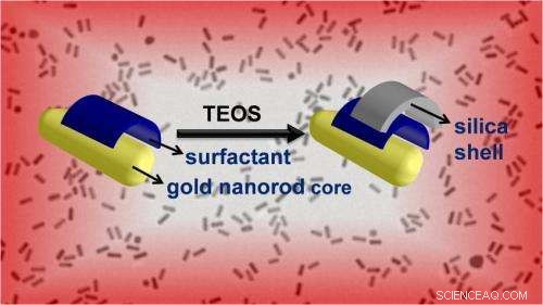 Enhanced Silica Coating Technique for Gold Nanorods: Precision, Scale, and Biomedical Potential
