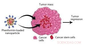 Advanced Nanoparticle Platforms for Targeted Anti-Cancer Drug Delivery