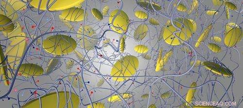 Innovative Nanomaterial Promises Faster Healing for Complex Bone Fractures