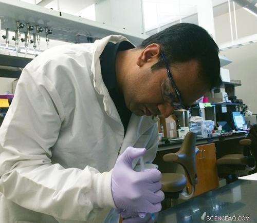 Innovative Nanomaterial Promises Faster Healing for Complex Bone Fractures