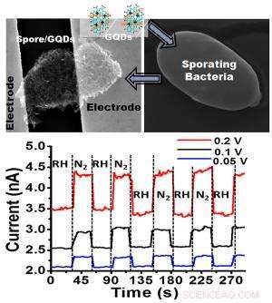 Graphene Quantum Dots Empower Tiny Bio-Robot for Advanced Humidity Sensing