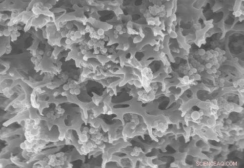 Innovative Membrane Adsorber Method for Water Purification