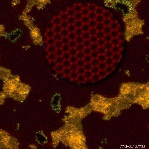 Nanoporous Graphene Membrane Demonstrated to Desalinate Seawater