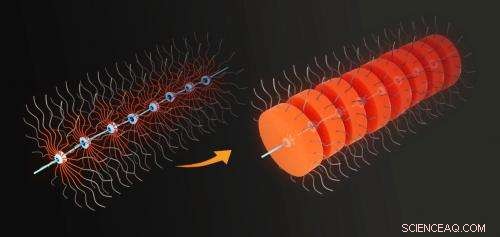 Nanoscopic Worms Enable Novel Nano-Necklace Fabrication