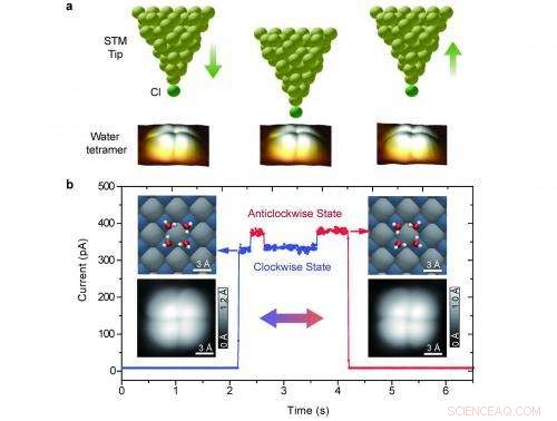 Unveiling Many‑Body Proton Tunneling in Water Nanoclusters via Real‑Space Imaging