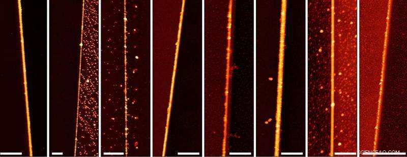 Water Enhances Nanoscale Wiring: Rice Lab Expands Meniscus‑Mask Lithography for Sub‑10 nm Paths