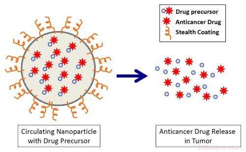 Targeted Nanoparticle Therapy: Harnessing Tumor Vulnerabilities to Fight Cancer