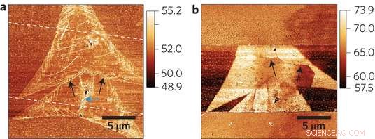 Brain‑Inspired Computers: Replicating Neural Functionality