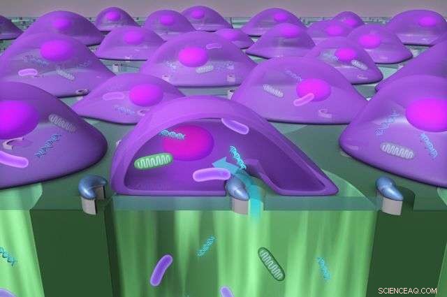 High-Speed Delivery of Nanoparticles and Biologics into Cells by 100k Cells/Minute Tool