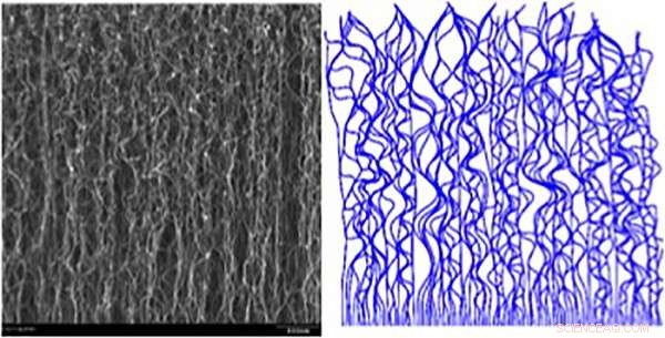 Engineers Unveil the Formation Mechanisms of Complex Carbon Nanostructures