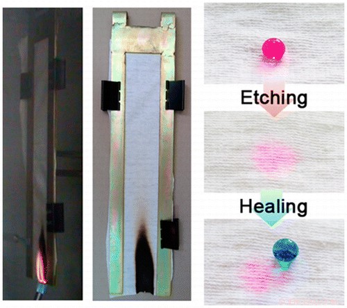 Jilin University Researchers Unveil Triple‑Layer Cotton Coating with Flame, Water Resistance & Self‑Cleaning Properties