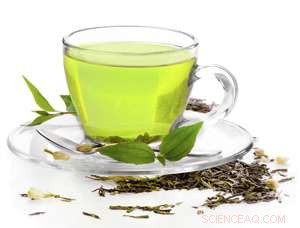 Green Tea as a Novel Therapeutic Delivery System for Anticancer Drugs