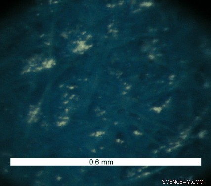 Unveiling the Microscopic Landscape of Ink on Paper