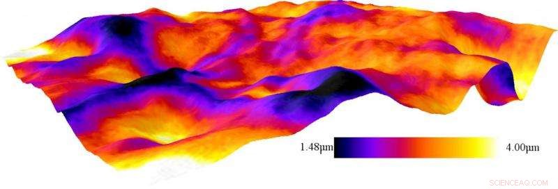 Unveiling the Microscopic Landscape of Ink on Paper