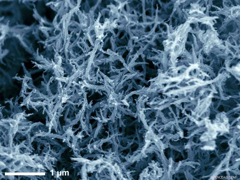 Revolutionary Carbonization Technique Yields Diverse Nanostructures