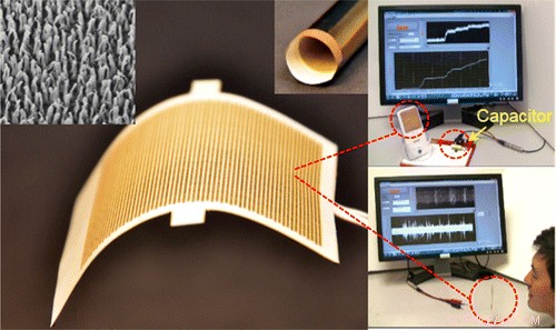 US and China Scientists Collaborate on Advanced Energy Harvesting Technology