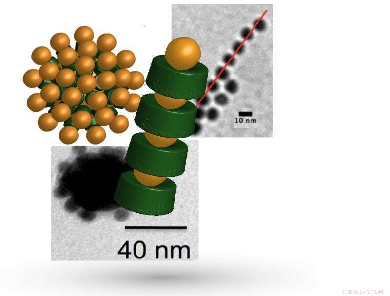 Scientists Introduce Novel Method for Fabricating Bio‑Based Materials with Enhanced Properties