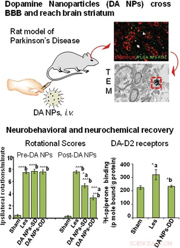 Novel Nanoparticle Therapy Reverses Parkinsonian Symptoms in Rat Models