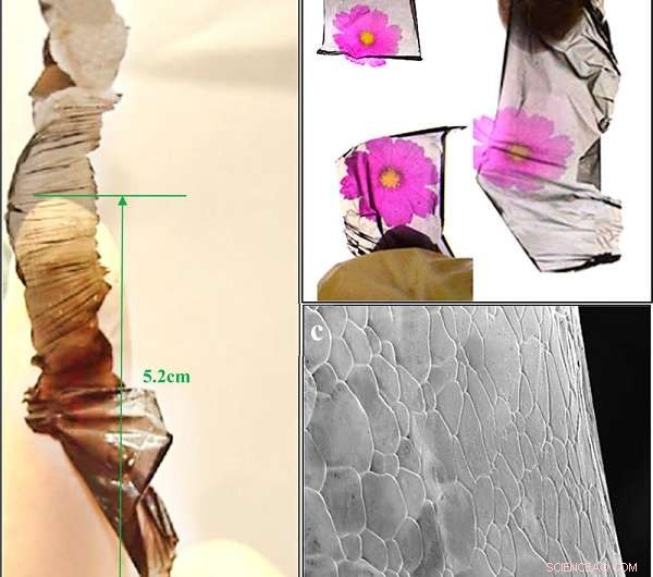 Transparent Graphene Paper Significantly Enhances Supercapacitor Capacitance
