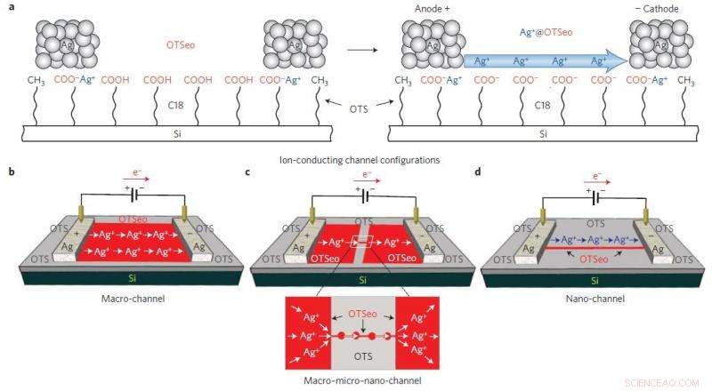Nanoionics: A Versatile Platform for Engineering Ion-Conducting Channels on Monolayers