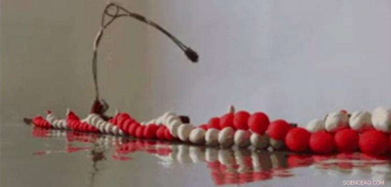 Motor Protein Uses Structured Walking Mechanism to Move Along Filaments