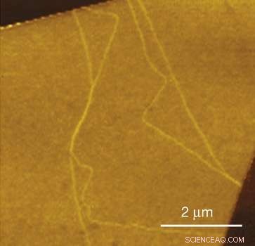 Scientists Unveil 1‑D Conducting Channels in Bilayer Graphene, Advancing Valleytronics