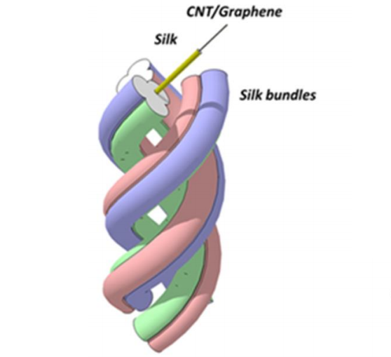 Italian Researchers Discover Carbon Nanotube Spray Boosts Spider Web Strength