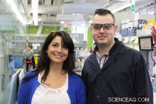 Revolutionizing DNA Scaffold Construction: A Superior Approach