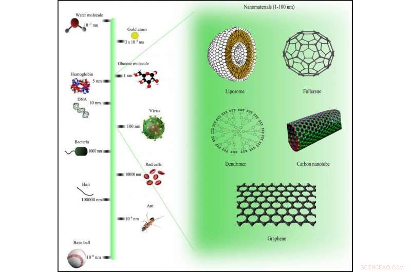 Advancing Nano‑Scale Cancer Drug Delivery: A Significant Milestone Achieved