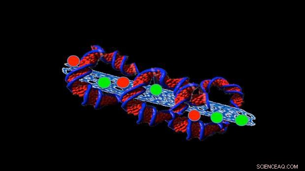 Advancing Nano‑Scale Cancer Drug Delivery: A Significant Milestone Achieved