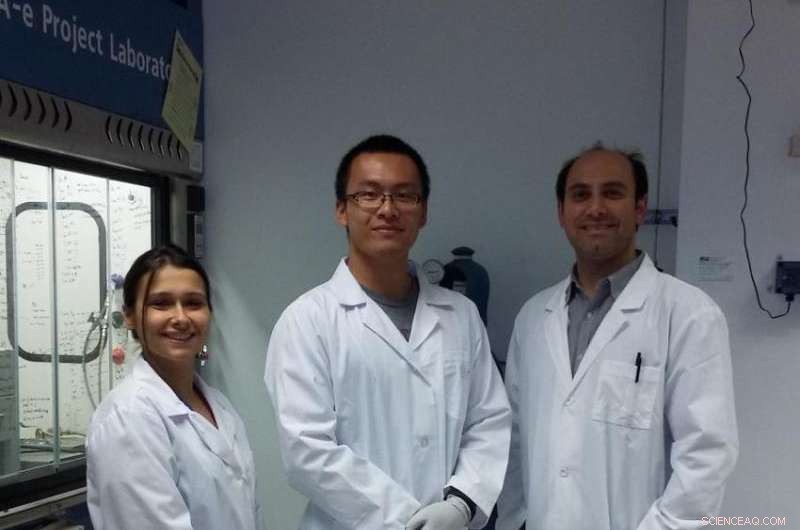 MoTe2 Monolayers: Why Their Luminescence Persists Over Time