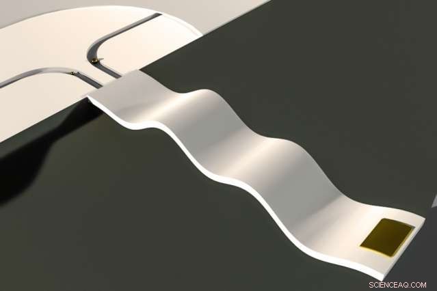 Advanced Microfluidic Device Accurately Maps Tiny Particle Distribution in Real-Time