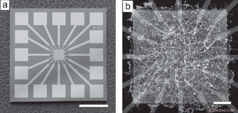 Scientists Build Atomic-Scale Hardware to Power Natural Computing