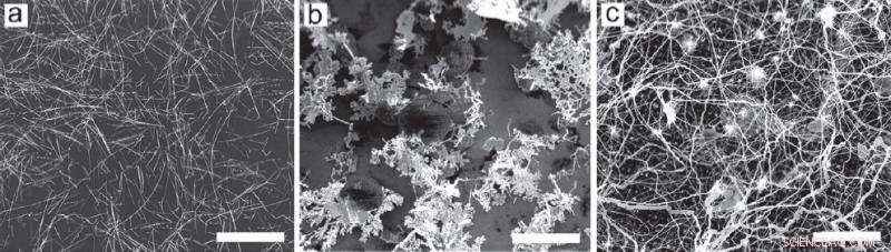 Scientists Build Atomic-Scale Hardware to Power Natural Computing