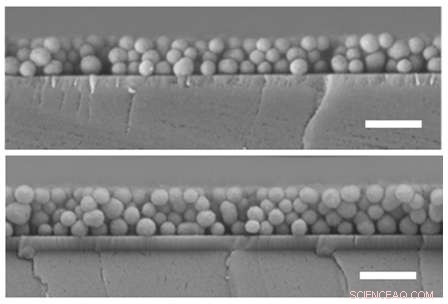 Bird‑Feather‑Inspired Nanomaterials Mimic Iridescence to Produce Vibrant Colors