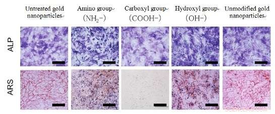 Engineering Gold Nanoparticles to Direct Stem Cell Osteogenesis