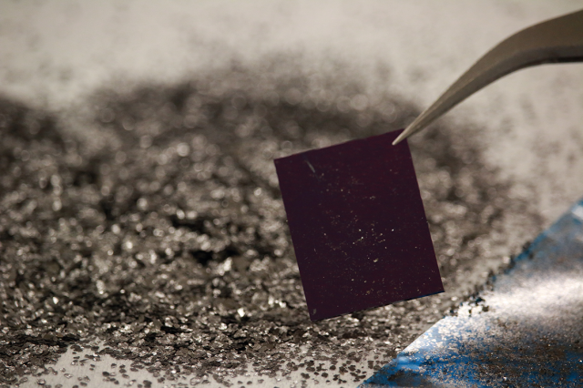 Unveiling Quantum Signatures of Electronic Transport in Graphene