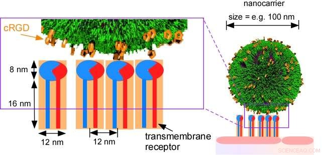 Advanced Nanocapsules for Targeted Diagnosis of Malignant Tumors