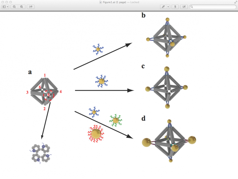 DNA Double Helices Double Duty in Nanoparticle Array Assembly