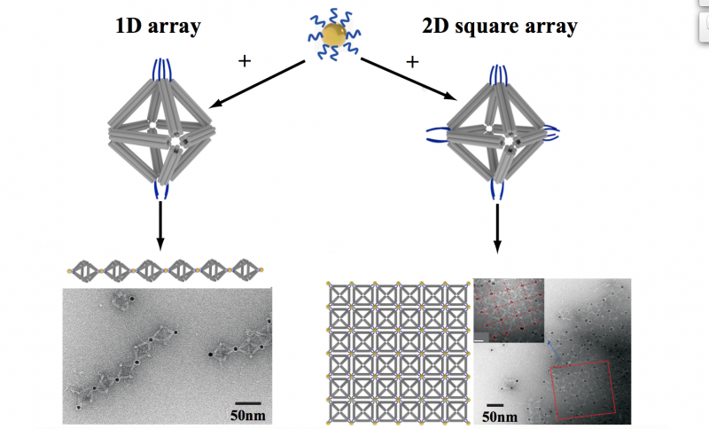 DNA Double Helices Double Duty in Nanoparticle Array Assembly