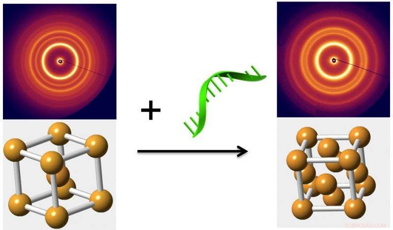 Engineering Phase Transitions in Nanoparticle Arrays Using DNA-Triggered Control