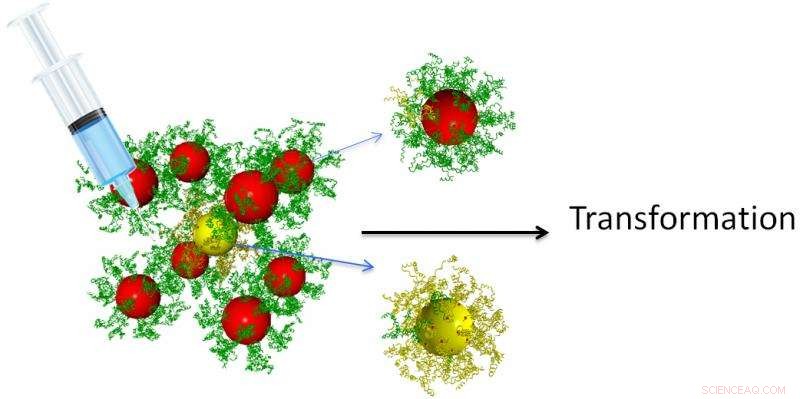 Engineering Phase Transitions in Nanoparticle Arrays Using DNA-Triggered Control