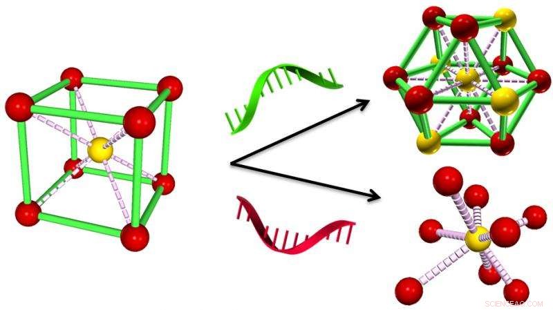 Engineering Phase Transitions in Nanoparticle Arrays Using DNA-Triggered Control
