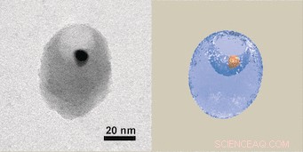 Engineering Cup‑Shaped Dynamic Inclusion Bodies from Dual‑Janus Nanoparticles for Advanced Colloid Design