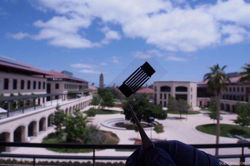 Stanford Breakthrough: Designer Carbon Material Significantly Enhances Battery Performance