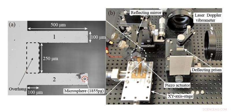 Precise Mass Measurement of Molecules at the Nanoscale